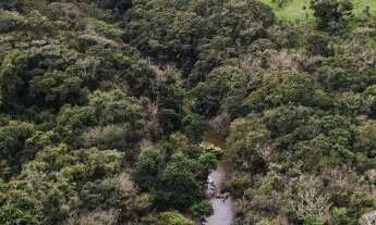 Imagem 6: Fazenda Triângulo Mineiro P/ Pecuária Lucrativa 100% Formada Completa
