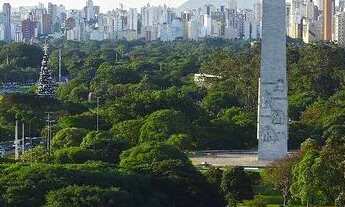 Imagem 2: Altier Moema Pássaros