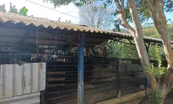 Imagem 3: CHÁCARA ABADIA DE GOIÁS, CORREGO, MUITA ÁGUA, CASA, CURRAL, A 20 KM DE GOIÂNIA OPORTUNIDAD