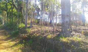 Imagem 4: Lote/Terreno para venda tem 1000 metros quadrados em Centro - Ibiúna - SP