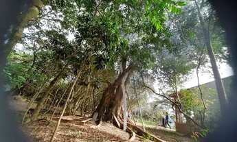 Imagem 5: Vendo Casa em Itapua