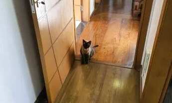 Imagem 6: Apartamento com 4 dormitórios à venda, 197 m² por R$ 980.000,00 - Morumbi - São Paulo/SP