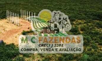 Imagem 3: Fazenda em Jeremoabo - BA | 420 Hectares