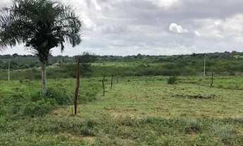 Imagem: Lotes em Santa Bárbara