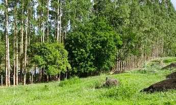 Imagem 2: ?VENDO CHÁCARA EM LUGAR MARAVILHOSO, PERTO DA CIDADE: ?