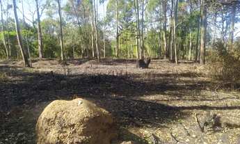 Imagem 6: LOTES A VENDA EM IBIÚNA-SP LUGAR TRANQUILO PARA MORAR OU PASSAR FINAL DE SEMANA
