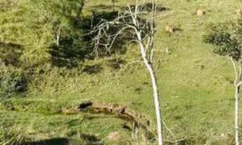 Imagem 3: Chácara para venda com 2500 metros quadrados com 2 quartos em Centro - Igaratá - SP