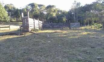 Imagem 6: Linda Fazenda em Guarapuava 79,5 alqueires paulistas