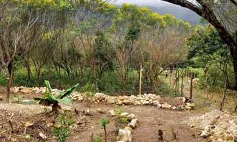 Imagem 4: Vendo Terreno no Vale do Capão