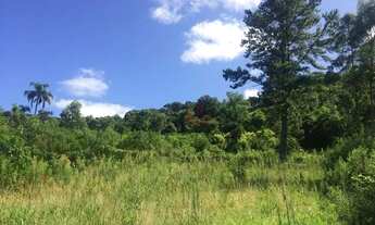 Imagem 6: Terreno no bairro Várzea Grande em Gramado!