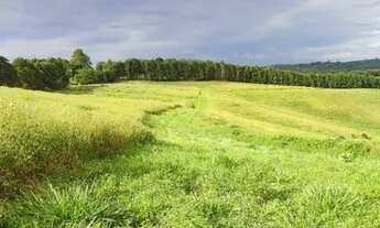 Imagem 2: Lote/Terreno para venda possui 500 metros quadrados em Centro (Caucaia do Alto) - Cotia