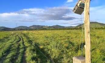 Imagem 4: Chácara em Santo Antônio da Patrulha ideal para pecuária