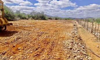 Imagem 2: Roça no Salitre Povoado de Braúna Juazeiro BA www.paulobarrosimoveis.com