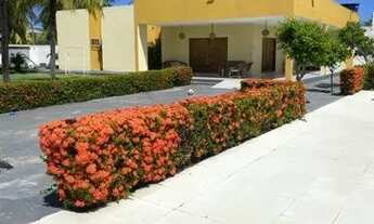 Imagem: Oportunidade!!! Casa na Barra de São Miguel