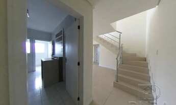 Imagem 6: Jequitiba à venda