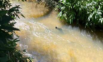 Imagem 6: Urgentemente- Chácara de 5000mts em Hidrolândia 45km do Garavelo