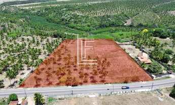 Imagem: Ótima área de 22.000m² em Coruripe-AL