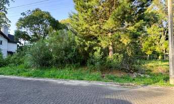 Imagem 4: Terreno - Bairro Carniel