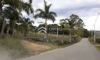 Imagem 2: Residencial Lote/Terreno em