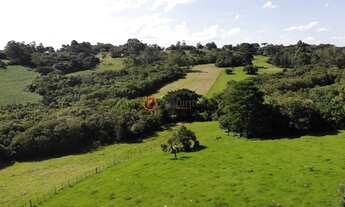 Imagem 6: Requinte oferece lindo sítio com 9 ha na Cascata ao lado do Parque Stone Land, com casa de