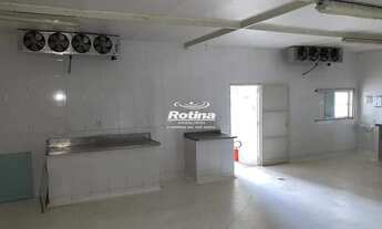 Imagem 6: Galpão à venda, Jardim Inconfidência - Uberlândia/MG - Rotina Imobiliária