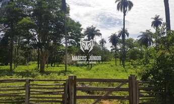 Imagem: FAZENDA DE PECUÁRIA NO NORTE DE MINAS DE