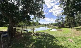 Imagem 7: Raridade em Goiânia: Fazenda de 4,26 alqueires com APP, Reserva Legal e Benfeitorias Fazen