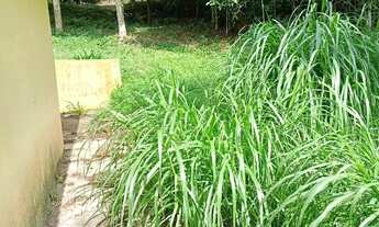 Imagem 5: Chácara com nascente em São Lourenço da Serra