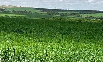 Imagem 11: Fazenda a venda 20.650 hec em Paranatinga MT. 780 milhões
