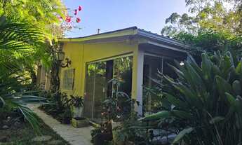 Imagem 3: Velleda oferece belo sítio completo em Viamão com 12,5 hectares, casa ampla, piscina e mui