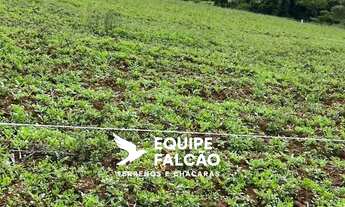 Imagem: Lotes em Cotia a partir de R$59.999, com