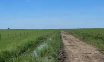 Imagem 2: Fazenda Corumbá 2002 hectares