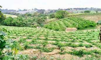 Imagem 3: SÍTIO - MACUCO - SP