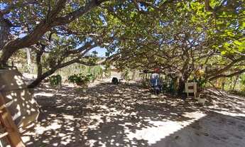 Imagem 3: Vendo ótima chácara no núcleo rural quintas do Maranhão