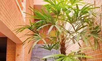 Imagem 4: CASA TÉRREA - JARDIM SÃO LUÍS - SP