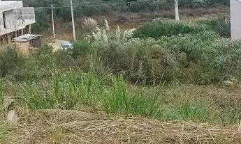 Imagem 4: Terreno Bairro Industrial