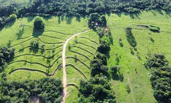 Imagem 5: Fazenda/Sítio/Chácara 7 alqueires,2 em caldas novas toda formada, planta tudo