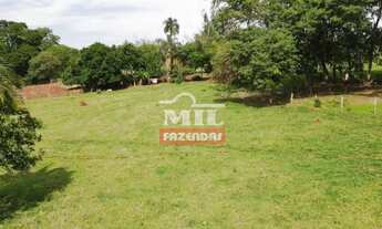 Imagem 6: Sítio a venda a 20 minutos de Goiânia. Área total: 9.5 alqueire