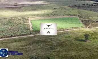 Imagem 6: Chácara à Venda em Vila Propício GO | 8 Alqueires