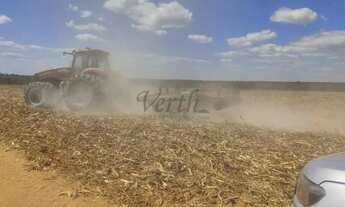 Imagem 4: Fazenda à Venda Região de Campo Novo do Parecis/MT