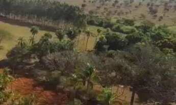 Imagem 2: Fazenda a venda no Prata com 85 alqueires (411,4 hectares), excelente oportunidade!!!