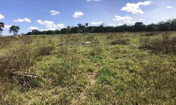 Imagem 6: Fazenda de 35 alqueires