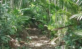 Imagem 2: Fazenda para Venda em Silva Jardim, Boqueirão, 5 dormitórios, 2 banheiros, 2 vagas