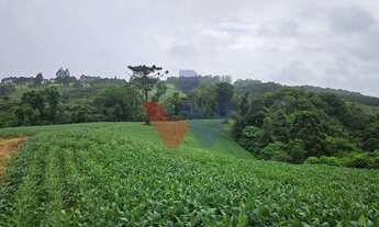 Imagem 5: Área de 79.000 m com 41.000 m mecanizados perfeita para cultivo ou projetos sustentáveis