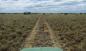 Imagem 2: Fazenda para arrendamento