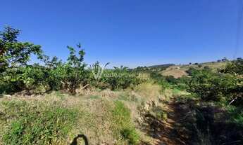 Imagem 4: Sítio - Morro das Pedras - Valinhos
