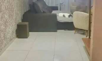 Imagem: Casa com 3 dormitórios à venda, 221 m²