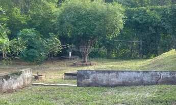 Imagem 3: Chácara - 03 Domitórios 02 salas 03 banheiros 01 galpão