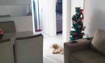 Imagem 3: Vendo um apartamento, Serraria