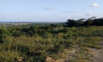 Imagem 5: 40 hectares as margens do Rio Ariquindá - Praia dos Carneiros